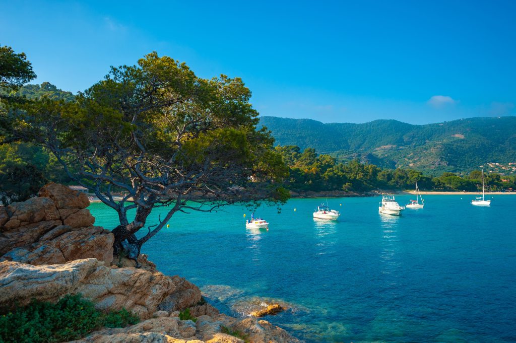 cap negre in Lavandou 